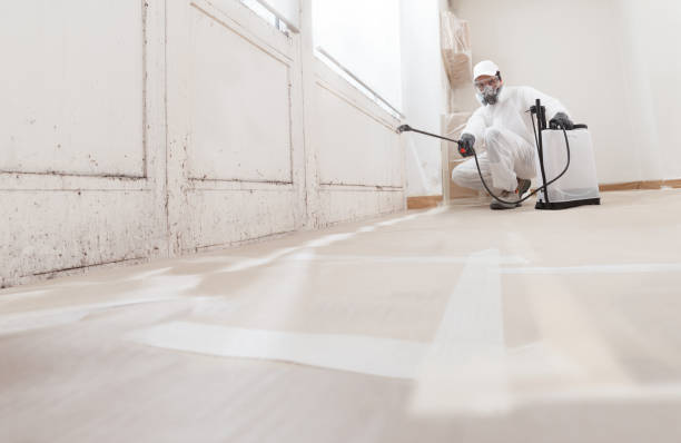 24/7 Emergency Black Mold Remediation experts in Ambler, PA